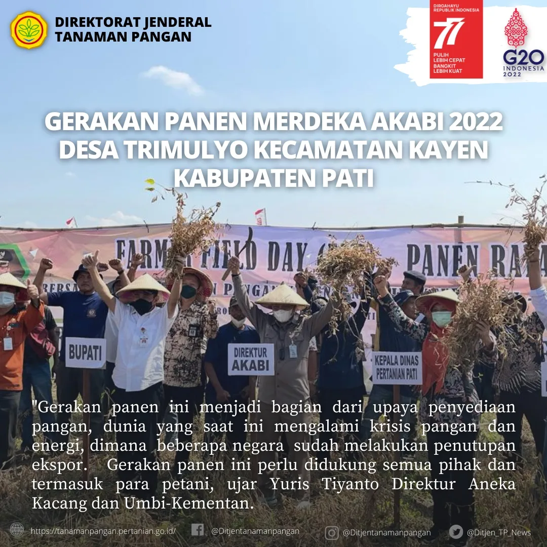 Gerakan Panen Merdeka Akabi 2022 Desa Trimulyo Kecamatan Kayen Kabupaten Pati