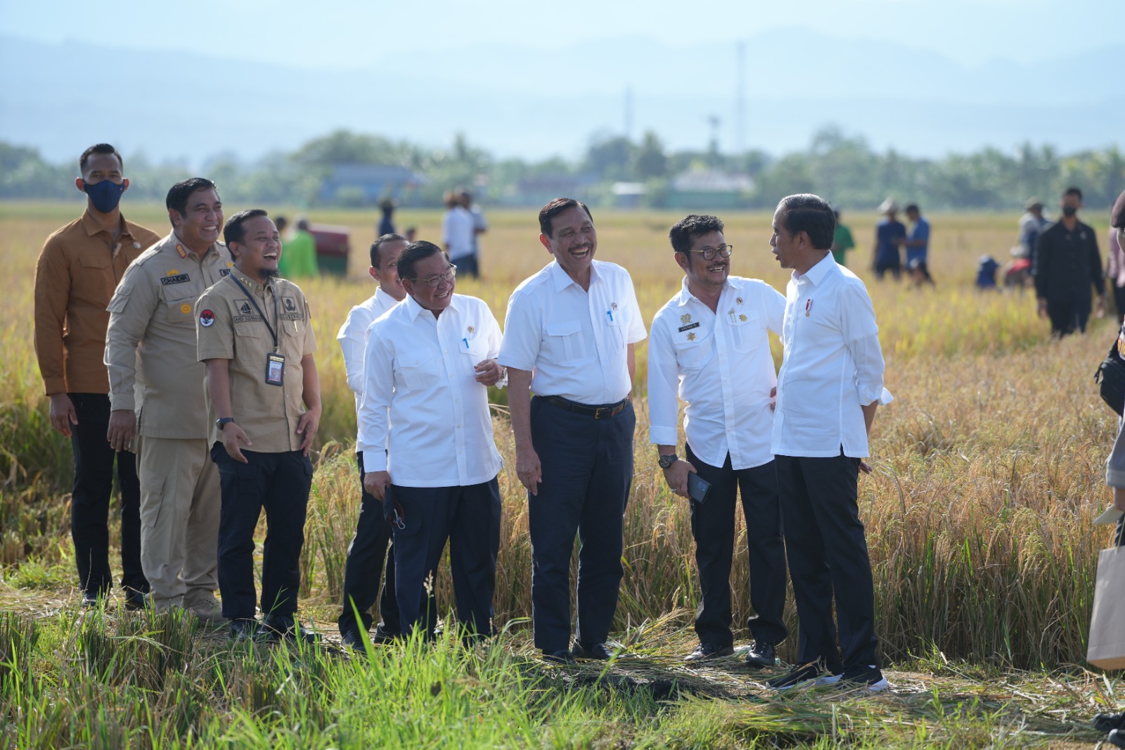 Panen Raya Sulawesi Selatan : Presiden Senang Produksi Naik Terus