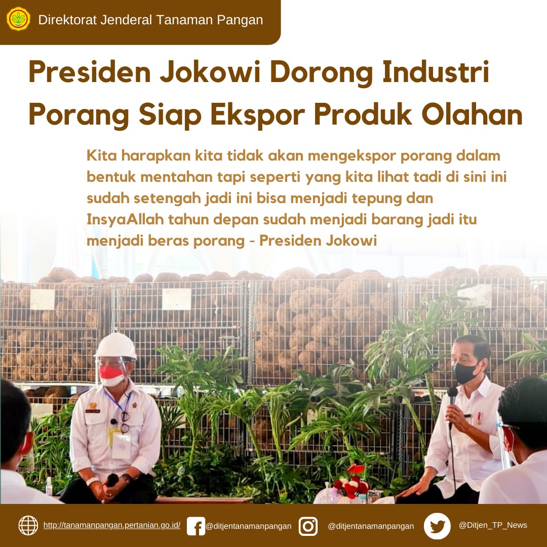Presiden Jokowi Industri Porang Siap Ekspor Produk Olahan