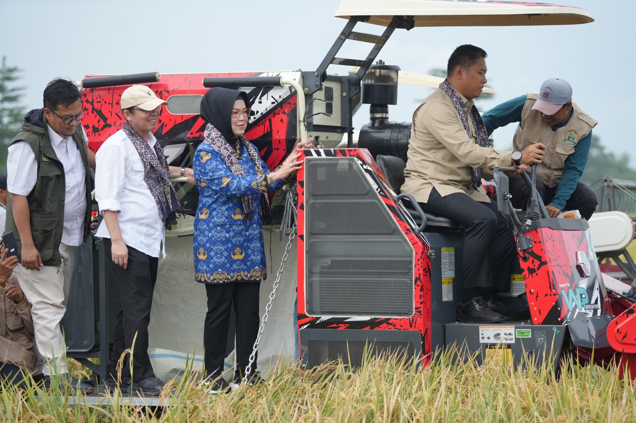 Wakil Menteri Pertanian Melaksanakan Panen Padi di Sukoharjo