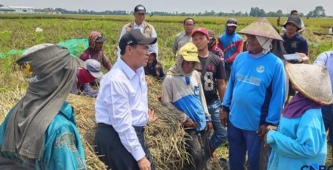 Mentan Amran Sulaiman sidak ke areal persawahan di Kabupaten Karawang, Jawa Barat