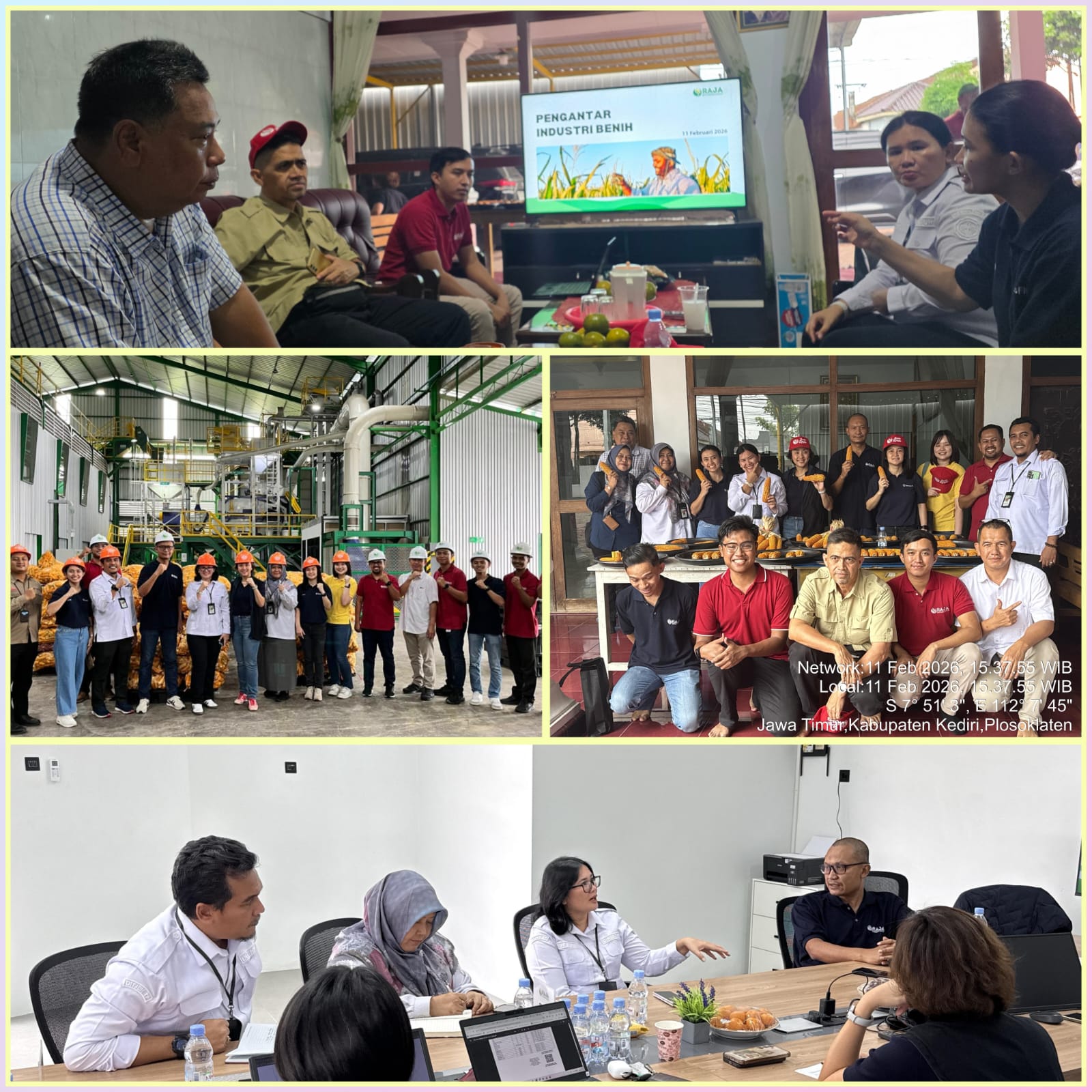 Kementan Dorong Penyediaan Jagung Pangan untuk Industri