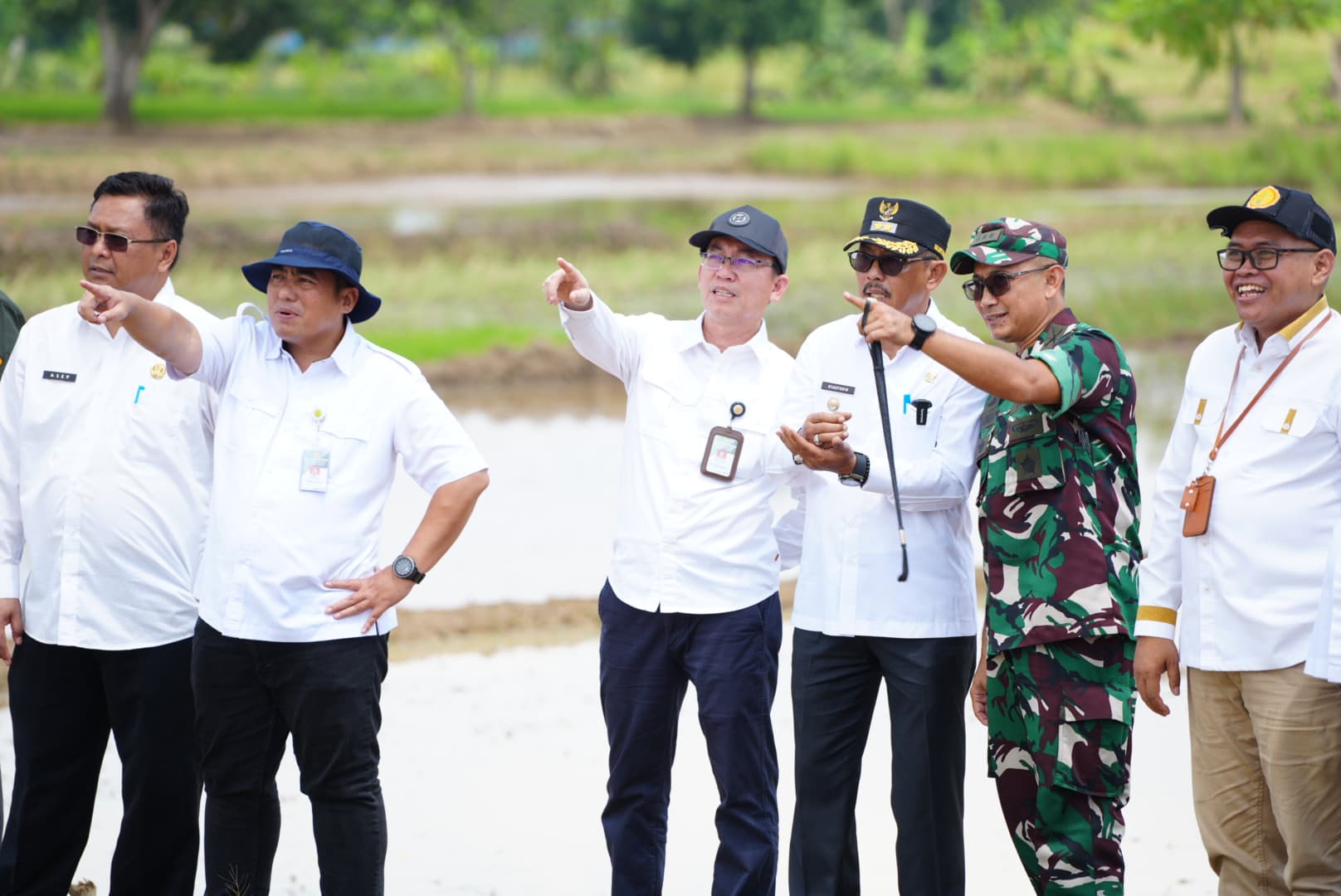 Tanam Padi Serentak di 14 Provinsi Indramayu Siap Jadi Tulang Punggung Pangan Nasional