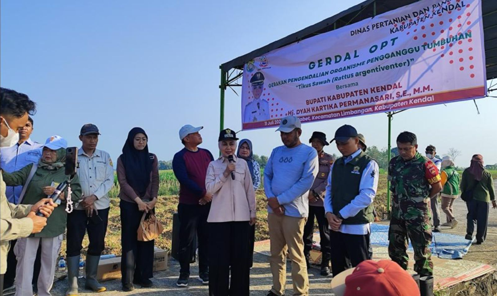 Kementan Perkuat Pengendalian Hama Tikus di Kendal, Amankan Produksi Menuju Swasembada Pangan